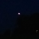 Illustration for article titled LUNAR ECLIPSE